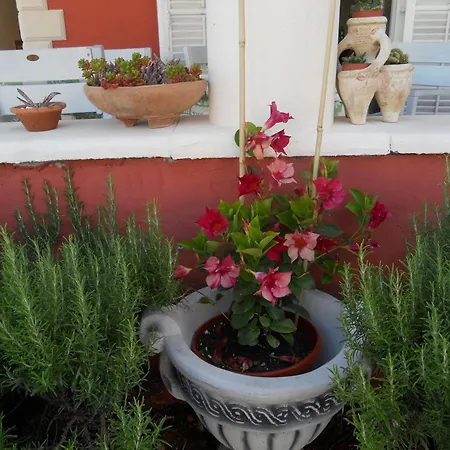 Διαμέρισμα Depa